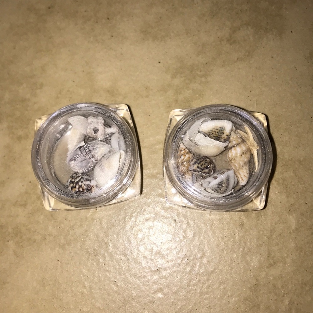 Mini sea shells